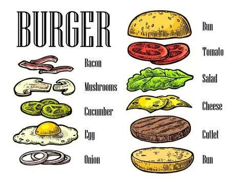 Burger ingredients on black background. Illustrazione stock