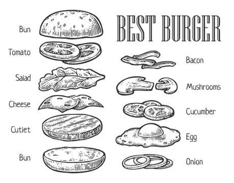 Burger ingredients. Isolated painted components on white background. Vector v Stock Illustration