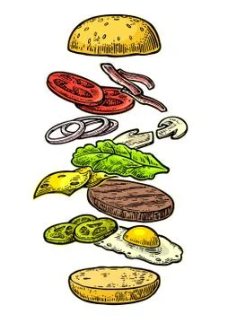 Burger ingredients on white background. Stock Illustration