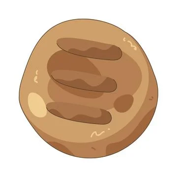 Burger patty Stock Illustration