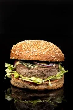Burger With Vegetables Stock Photos