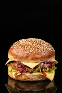 Burger With Vegetables Stock Photos