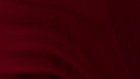 Burgundy Gradient Background with Blurred Lines for Graphic and Web Design Stock Footage 285203931