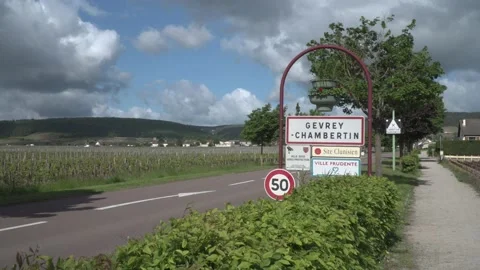 Burgundy Wine Growing Stock Footage 170500858
