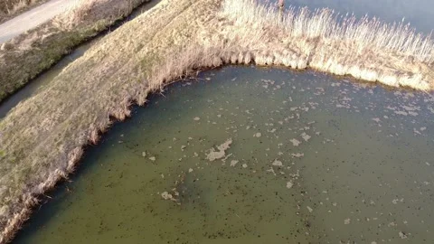 Burgwalden Drone Flight 動画素材 168897765