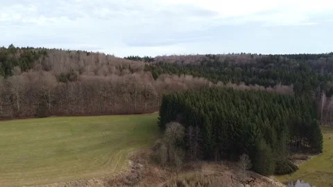 Burgwalden Drone Flight 動画素材 168899076