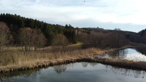 Burgwalden Drone Flight 動画素材 168899291