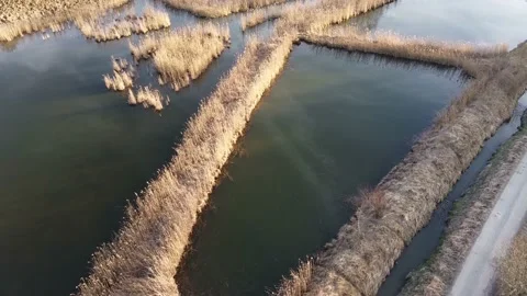 Burgwalden Drone Flight 動画素材 168900562