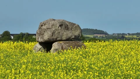 Burial chamber Video stock 263137450