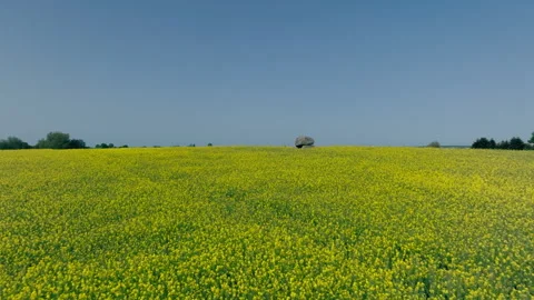 Burial chamber Stock Footage 263143528