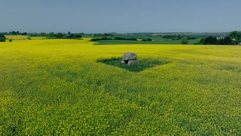 Burial chamber Stock Footage 263144144