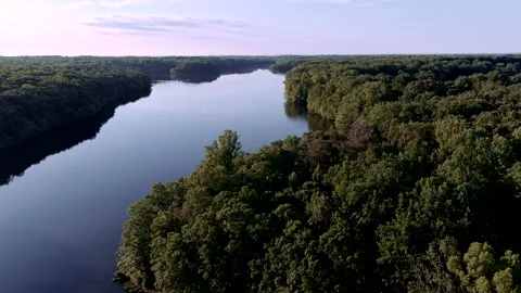 Burke Lake forest Stock Footage 135759242