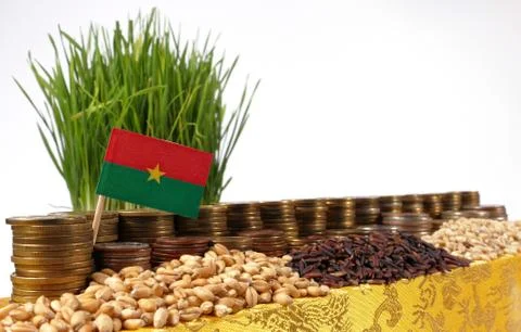 Burkina Faso flag waving with stack of money coins and piles of wheat and r.. Stock Photos