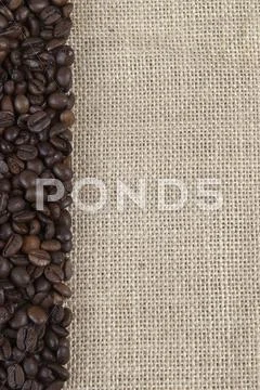 Burlap background with coffee beans. Stock Photos