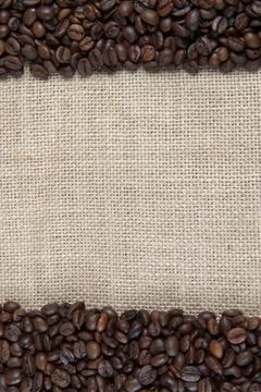 Burlap background with coffee beans. Stock Photos