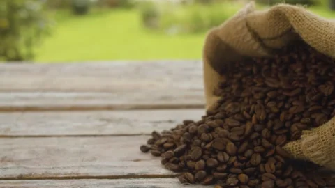 Burlap bag with coffee beans Stock Footage 137785812