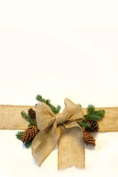 Burlap christmas bow and pine cones frame on white background Stock Photos