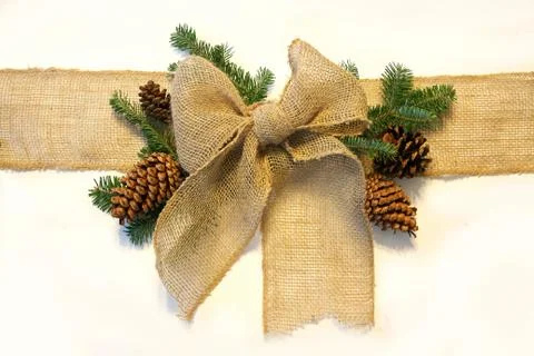 Burlap christmas bow and pine cones wrapped around white background Stock Photos