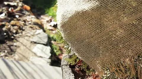 Burlap Stock Footage 12622390