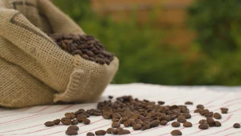 Burlap sack with coffee beans Stock Footage 141601597