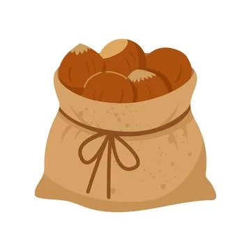 Burlap sack filled with ripe hazelnuts isolated on white background Stock Illustration