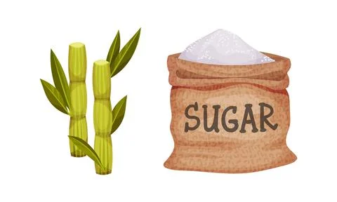 Burlap Sack Full of Refined Sugar and Sugarcane as Sweetener for Food and Drink Stock Illustration