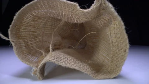 Burlap Sack Laowa Macro Probe Lens Stock Footage 137560858
