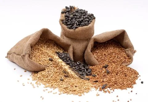 Burlap sacks with wheat grain, buckwheat  and sunflower seed Stock Photos