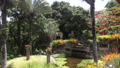 Burle Marx garden Vídeo Stock 259912182