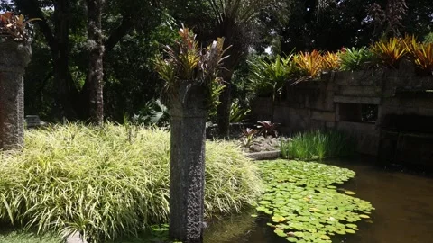 Burle Marx garden Vídeo Stock 259912230
