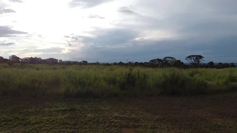 Burle Marx Park Vídeo Stock 129716880