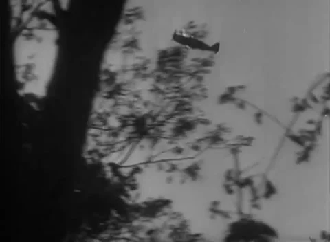 BURMA - 1945: Pacific War - Fighter Through Tropical Branches Stock Footage 343849817