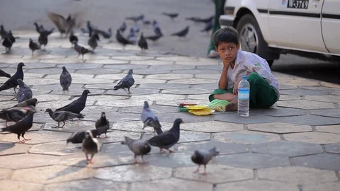 Burmese boy surrounded by pigeons Stock Footage 102642212