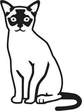Burmese cat vector Stock Illustration