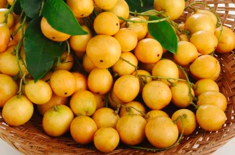 Burmese grape Stock Photos