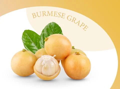 Burmese grape(baccaurea ramiflora) on pattern colour Stock Photos