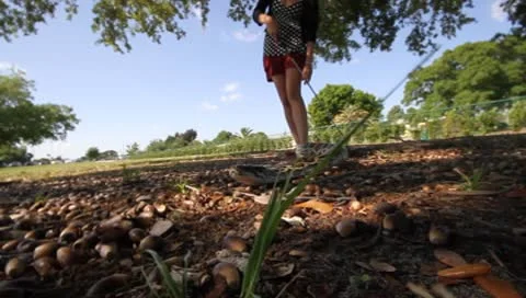 Burmese Pythin handled by trainer Stock Footage 8975276