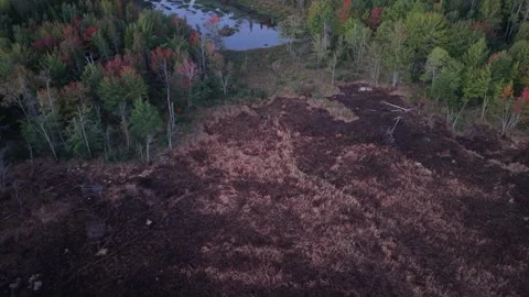 Burn Area to Beaver Pond d log m 9-19-26 스톡 동영상 346656571