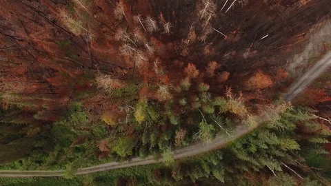 Burn area flyover Stock Footage 70334747