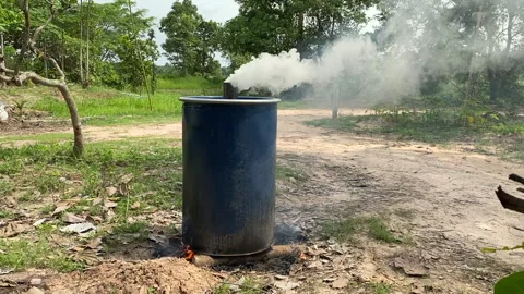 Burn charcoal Stock Footage 252638889