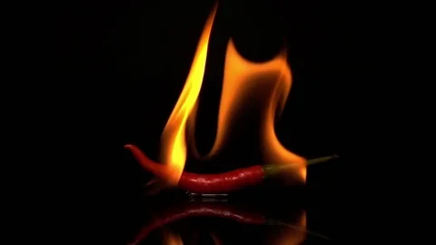 Burn Chili on black background Stock Footage 74540763
