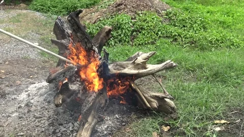Burn fire day Stock Footage 169024553