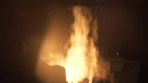 Burn fire with wood Video stock 74102708