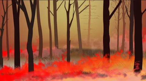 Burn forest fire ,fire flame Stock Footage 61812037