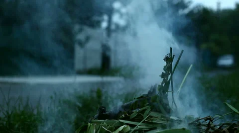 Burn Garbage 3 Stock Footage 39862640