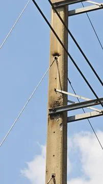 Burn marks from high voltage electrical fault on powerline insulator and ha.. Stock Photos