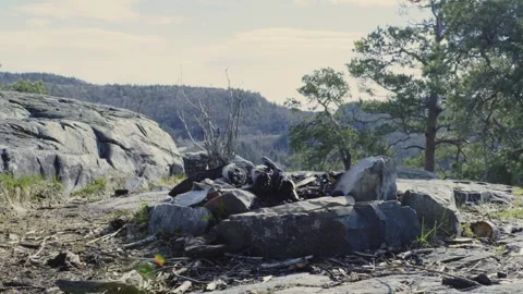 Burn out campfire. Dramatic boreal forest during early spring with bare and Stock Footage 333484723