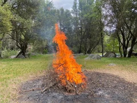 Burn Pile Stock Photos