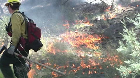 Burn to Protect Stock Footage 59765616