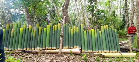 Burn rice in bamboo 動画素材 210371819